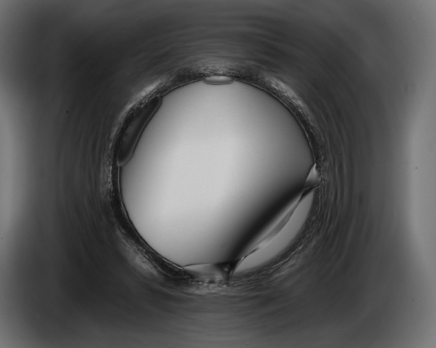 X0000083530399200703021558