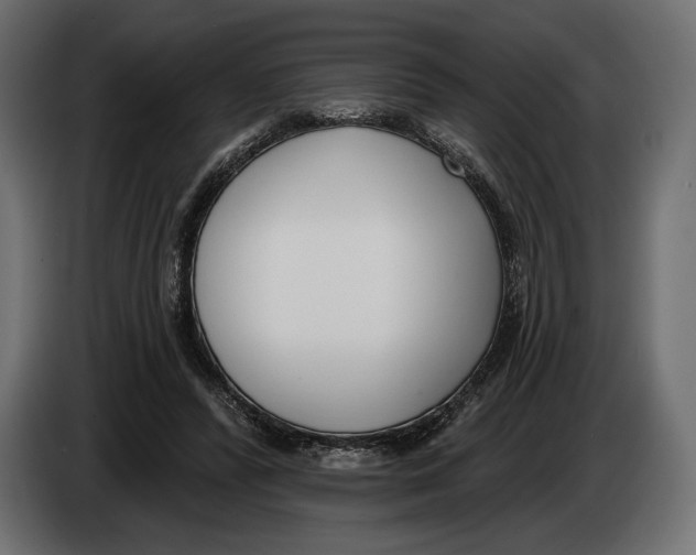 X0000083530400200703021558