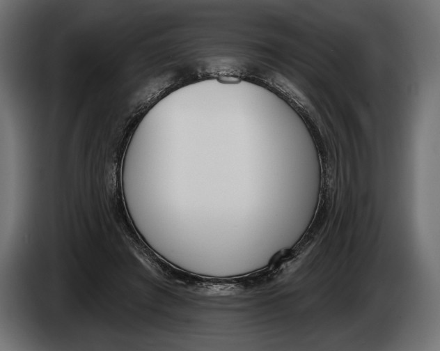 X0000083530401200703021558