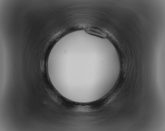 X0000083530403200703021558