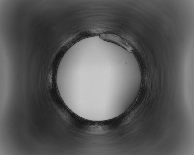 X0000083530404200703021558