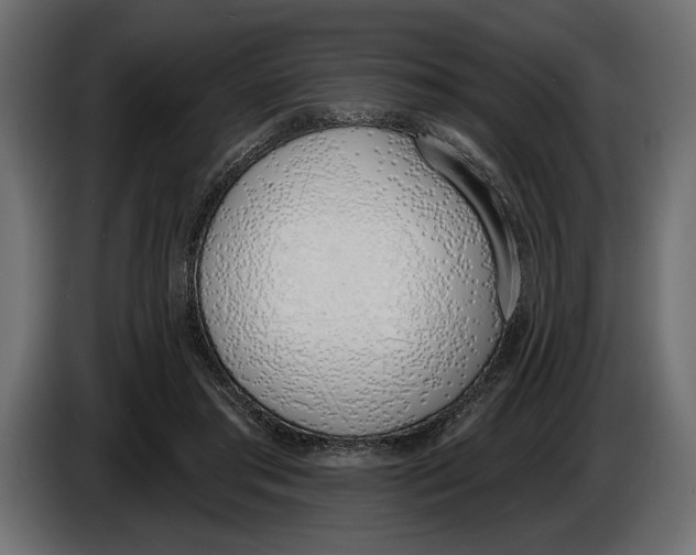 X0000083530405200703021558