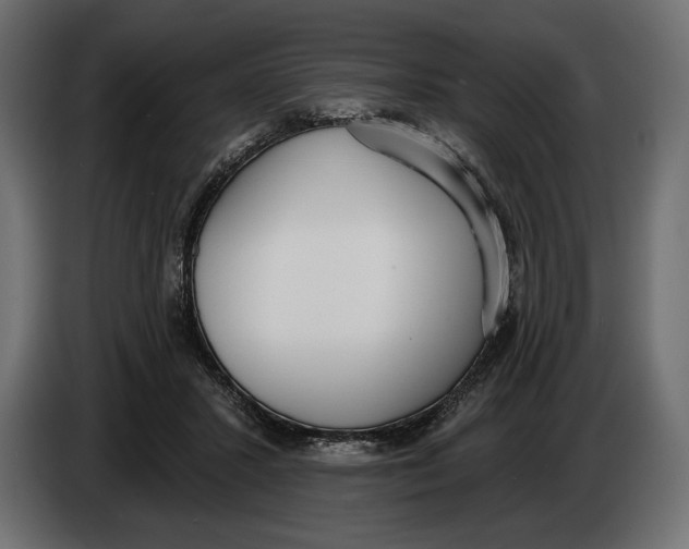 X0000083530407200703021558