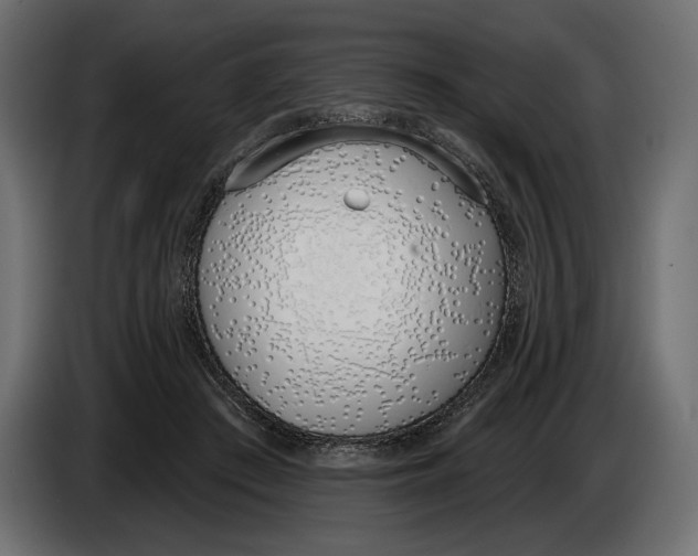 X0000083530409200703021558