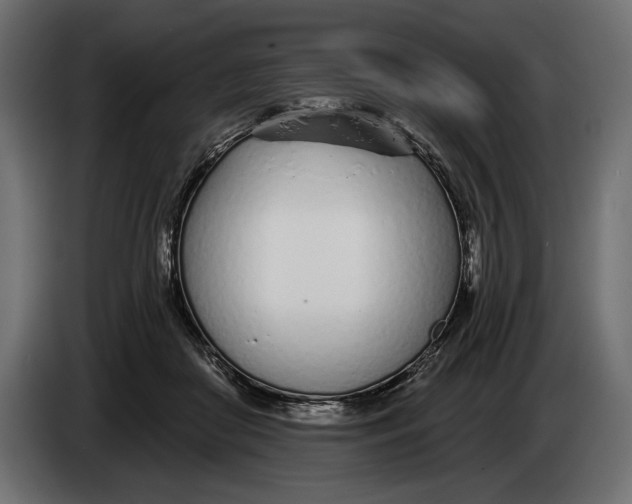 X0000083530410200703021558