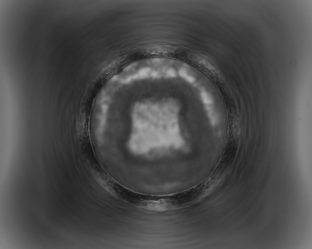 X0000083530411200703021558