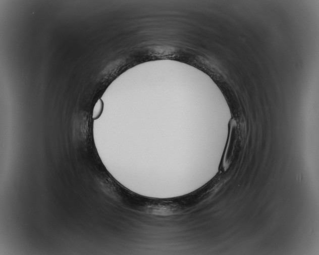 X0000083530412200703021558