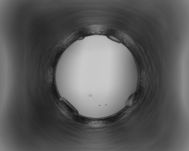 X0000083530413200703021558