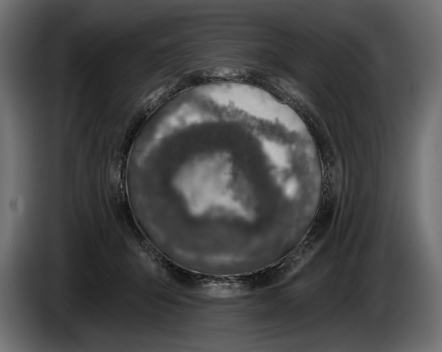 X0000083530415200703021558