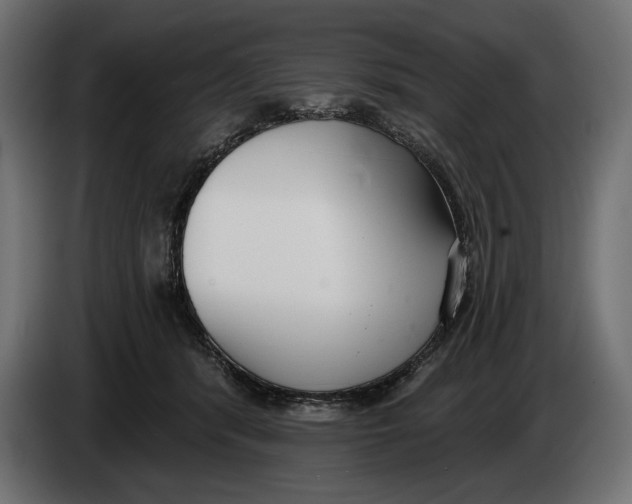 X0000083530416200703021558