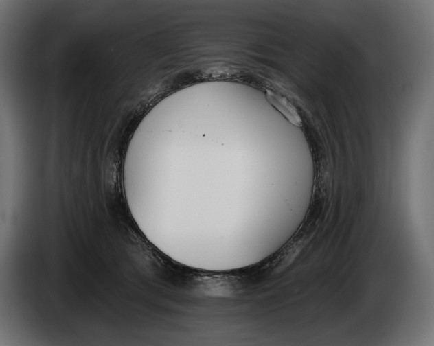 X0000083530417200703021558