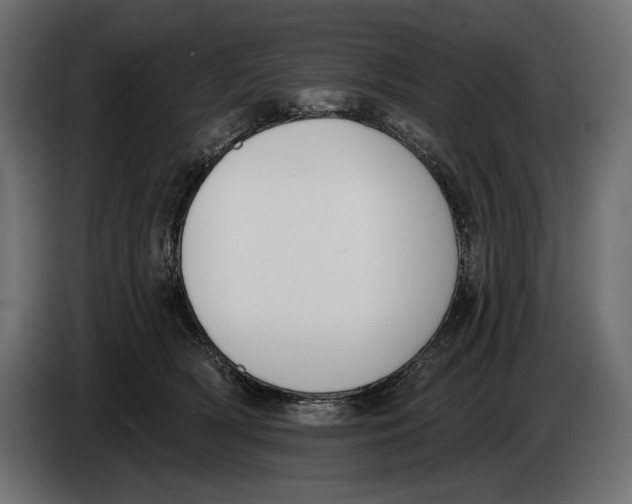 X0000083530418200703021558