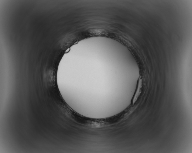 X0000083530420200703021558