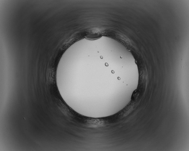 X0000083530421200703021558