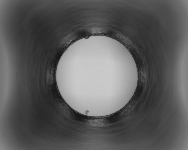 X0000083530422200703021557