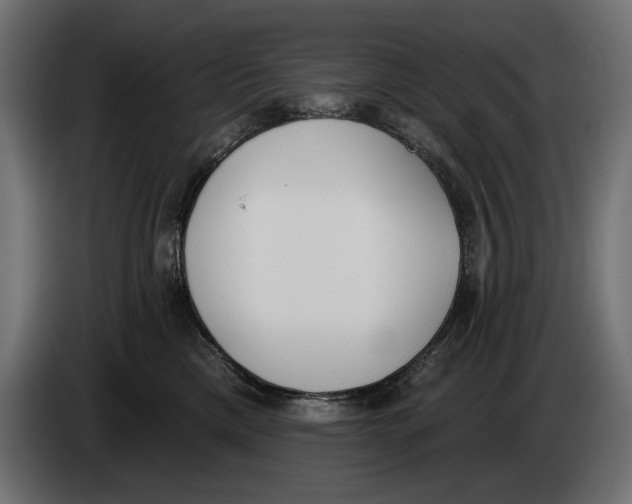 X0000083530425200703021557