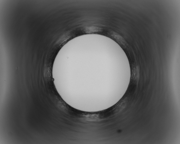 X0000083530426200703021557