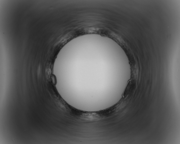 X0000083530427200703021557