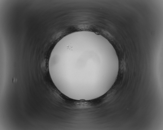 X0000083530428200703021557