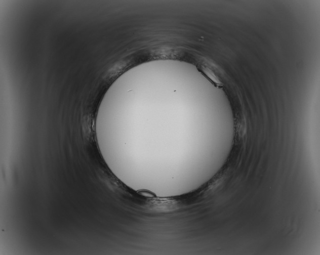 X0000083530429200703021557