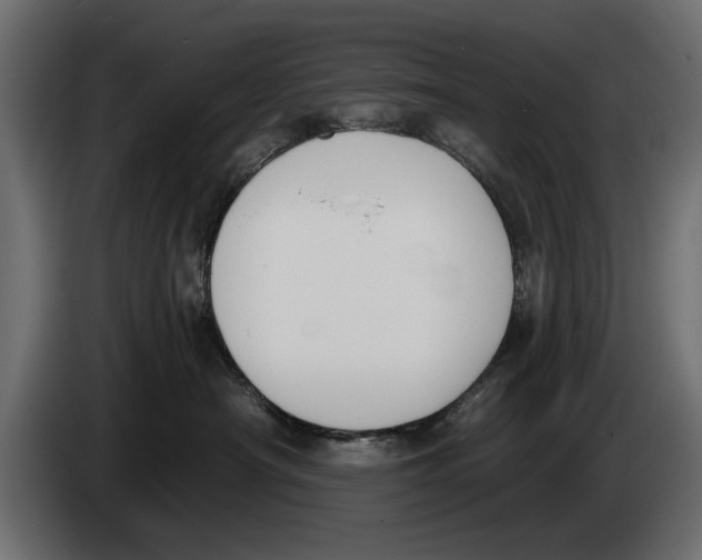 X0000083530430200703021557