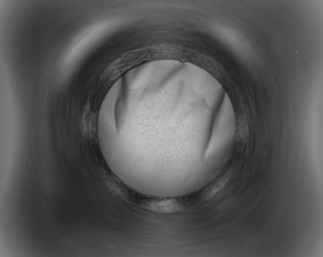 X0000083530431200703021557