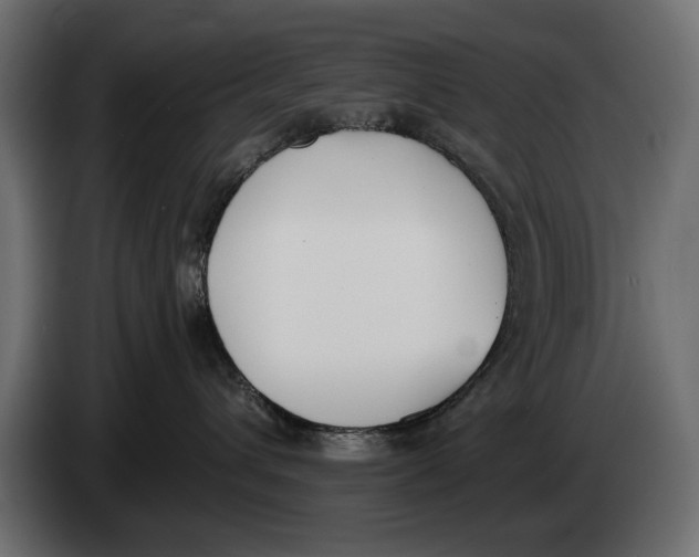 X0000083530432200703021557