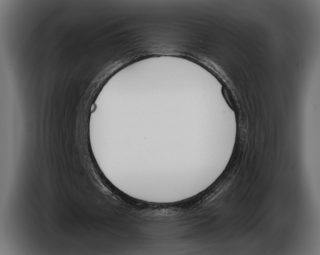 X0000083530433200703021556