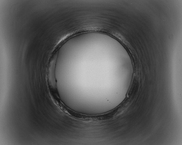 X0000083530434200703021556