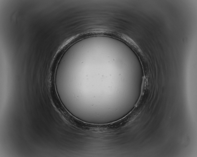 X0000083530436200703021557