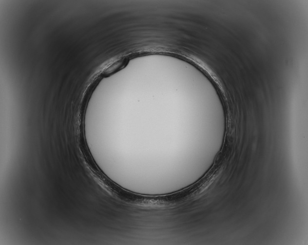 X0000083530437200703021557