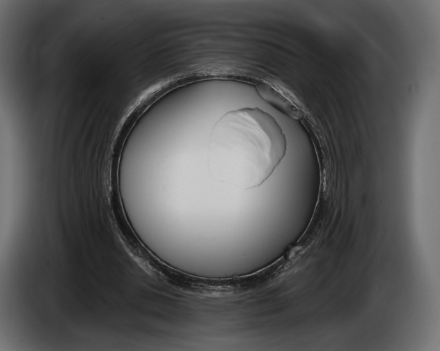 X0000083530438200703021557