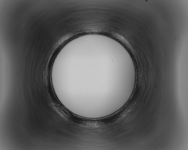 X0000083530439200703021557