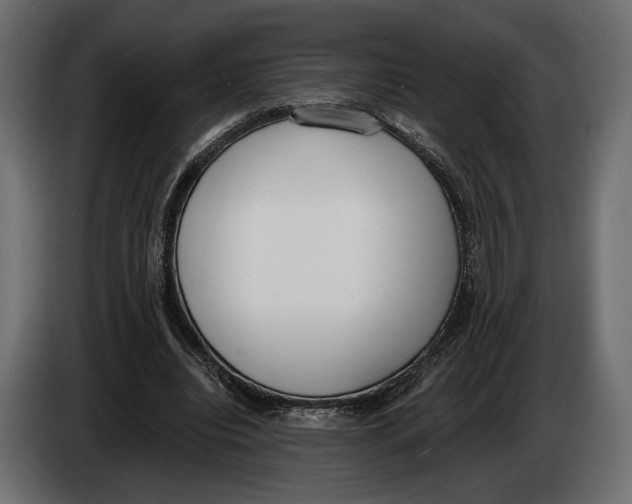 X0000083530440200703021557