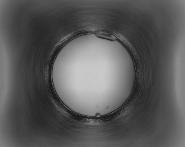 X0000083530442200703021557