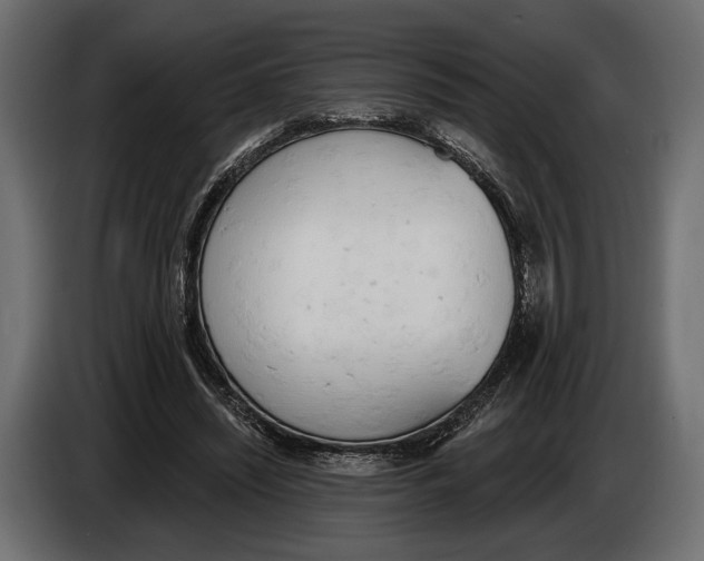 X0000083530444200703021557