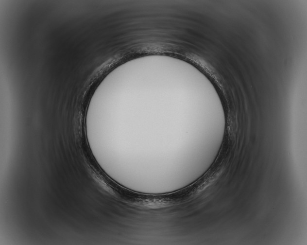 X0000083530445200703021557