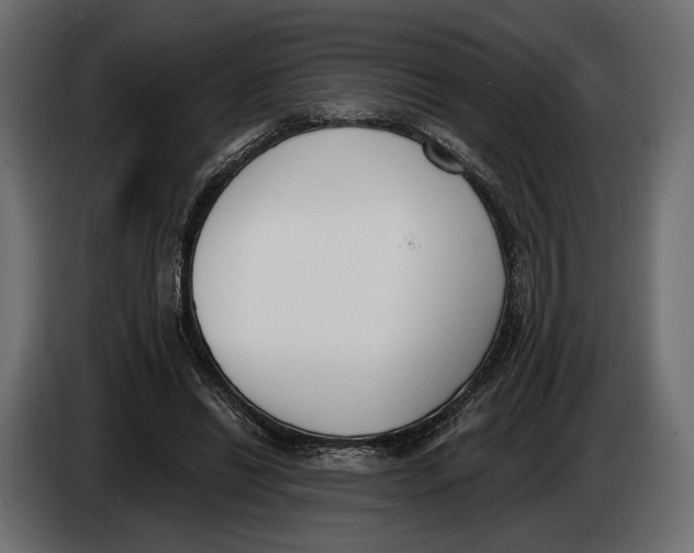 X0000083530446200703021557