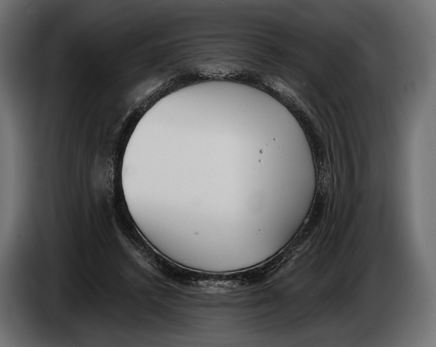 X0000083530448200703021557