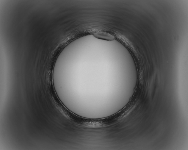 X0000083530449200703021557