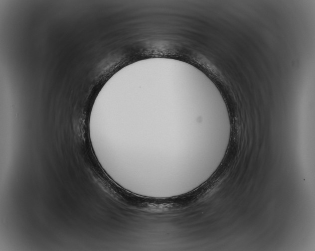 X0000083530450200703021557