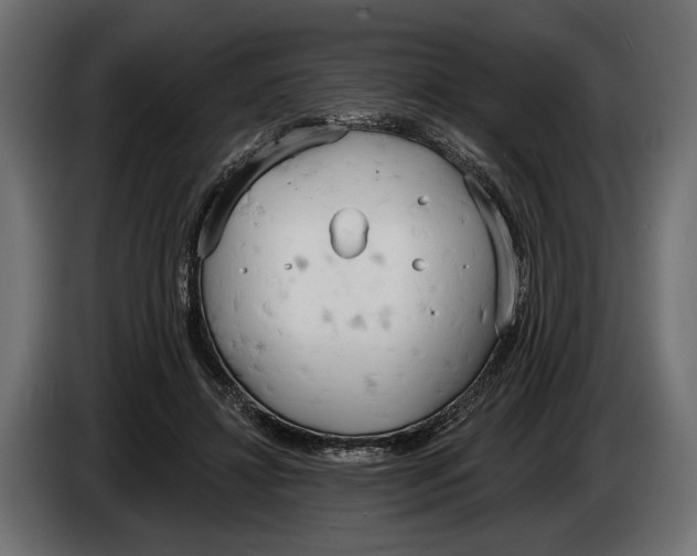 X0000083530452200703021557