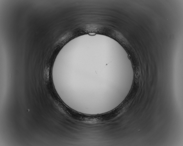 X0000083530454200703021557