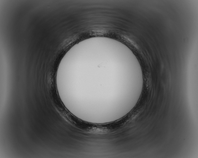 X0000083530455200703021557