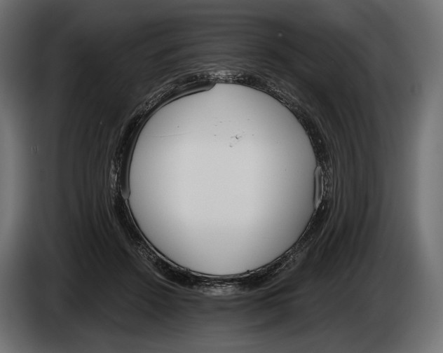 X0000083530456200703021557