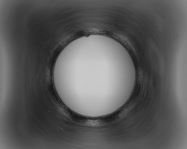 X0000083530457200703021557