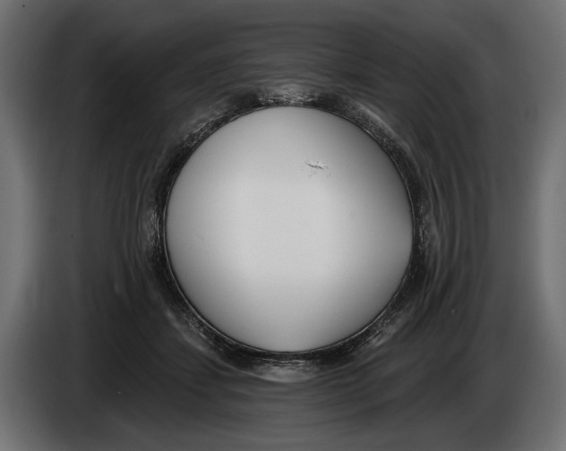 X0000083530459200703021557