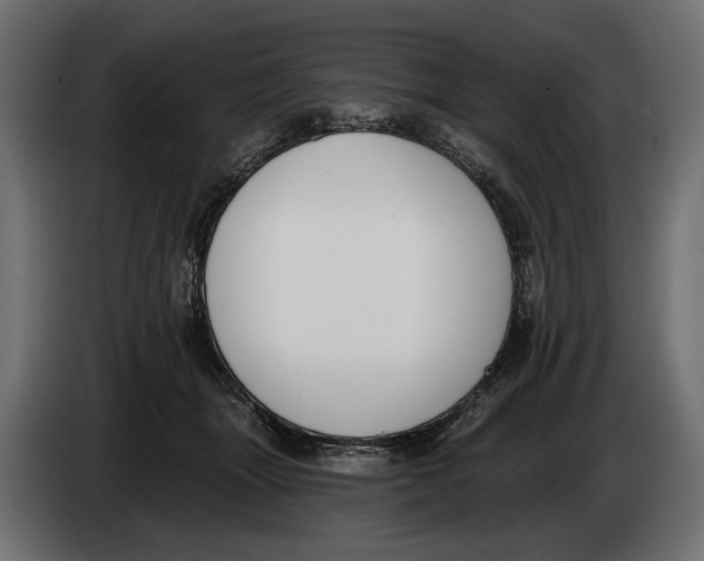 X0000083530463200703021557