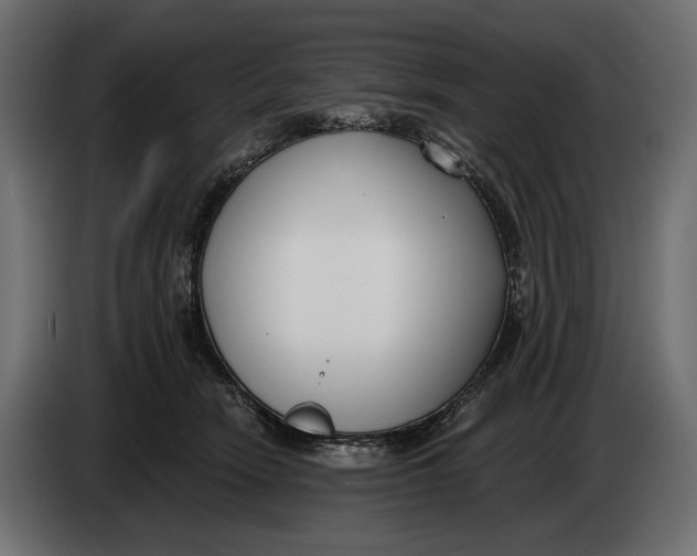 X0000083530466200703021557