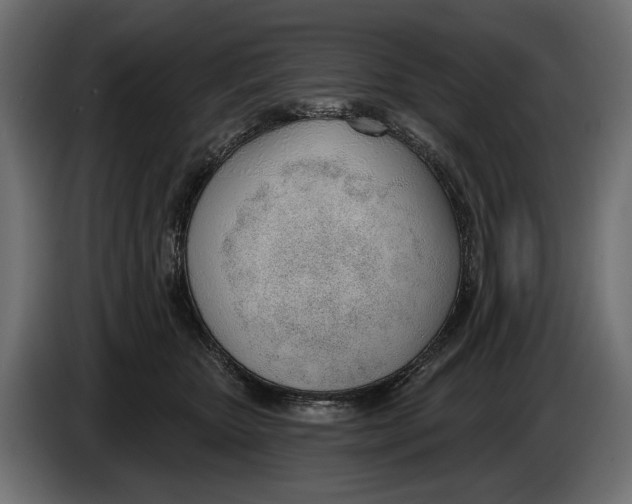 X0000083530467200703021557